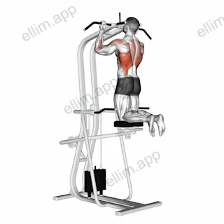 Lever Assisted Chin Up exercise targeting Back