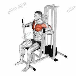 Lever Banded Chest Press exercise targeting Chest