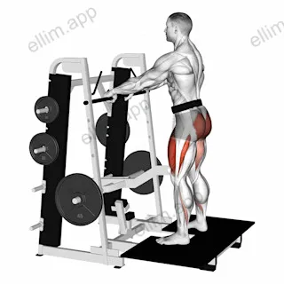 Lever Belt Squat exercise targeting Thighs