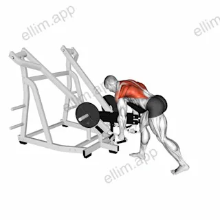 Lever Bent Over Neutral Grip Row (with chest support) exercise targeting Back