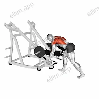 Lever Bent Over Row (with chest support) exercise targeting Back