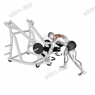 Lever Bent Over Single Arm Wide Grip Row (with chest support) exercise targeting Back