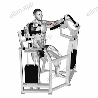 Lever Bicep Curl exercise targeting Upper Arms and Brachialis