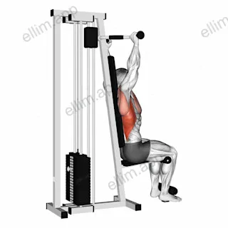 Lever Cable Rear Pulldown exercise targeting Back