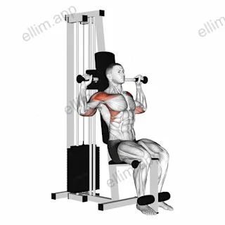 Lever Cable Shoulder Press exercise targeting Shoulders