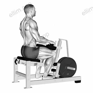 Lever Calf Stretch (plate loaded) exercise targeting Calves