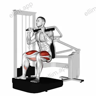 Lever Chair Squat exercise targeting Thighs and Gluteus Maximus