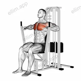 Lever Chest Press exercise targeting Chest and Pectoralis Major Sternal Head