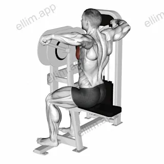 Lever Crossovers exercise targeting Chest and Pectoralis Major Sternal Head
