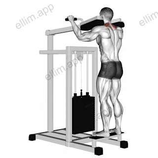 Lever Gripless Shrug exercise targeting Back and Trapezius Upper Fibers
