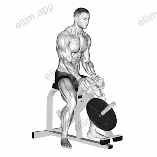 Lever Gripper Hands (plate loaded) exercise targeting Forearms