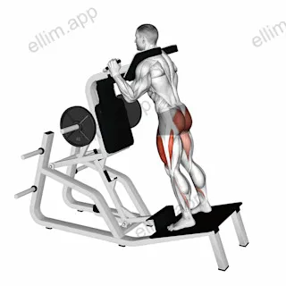 Lever Hack Squat exercise targeting Hips and Gluteus Maximus