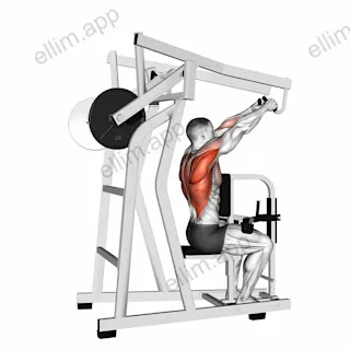 Lever High Row (plate loaded) exercise targeting Back and Infraspinatus