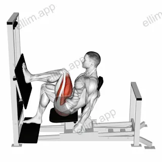 Lever Horizontal One leg Press exercise targeting Thighs and Gluteus Maximus