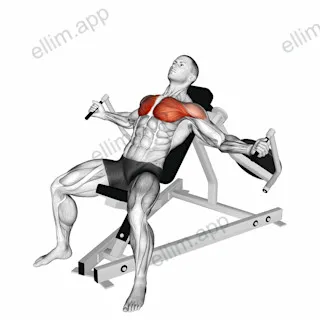 Lever Incline Fly exercise targeting Chest and Pectoralis Major Clavicular Head