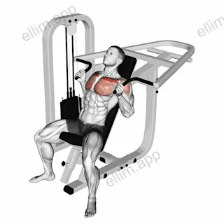 Lever Incline Hammer Chest Press exercise targeting Chest and Pectoralis Major Clavicular Head