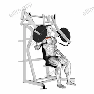Lever Incline One Arm Chest Press (plate loaded) exercise targeting Chest