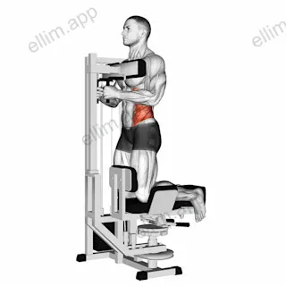 Lever Kneeling Twist exercise targeting Waist and Obliques