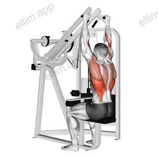 Lever Lateral Wide Pulldown exercise targeting Back and Latissimus Dorsi