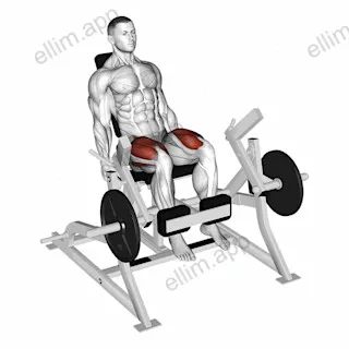 Lever Leg Extension (plate loaded) exercise targeting Thighs