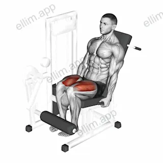 Lever Leg Extension exercise targeting Thighs and Quadriceps