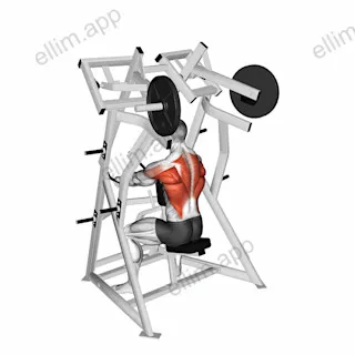 Lever Low Row (plate loaded) exercise targeting Back and Infraspinatus