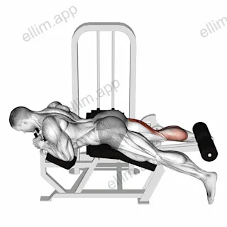 Lever Lying Single Leg Curl exercise targeting Thighs and Hamstrings