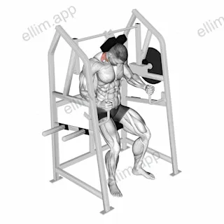 Lever Neck Extension (plate loaded) exercise targeting Neck