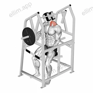 Lever Neck Left Side Flexion (plate loaded) exercise targeting Neck