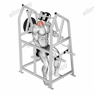 Lever Neck Right Side Flexion (plate loaded) exercise targeting Neck