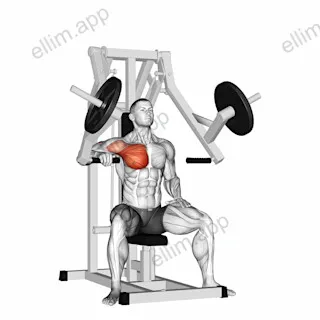 Lever One Arm Chest Press (plate loaded) exercise targeting Chest