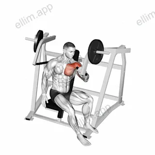 Lever One Arm Incline Chest Press (plate loaded) exercise targeting Chest