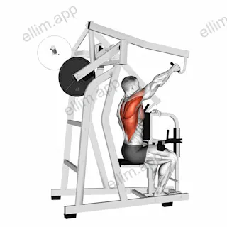 Lever One Arm Lateral High Row exercise targeting Back and Infraspinatus