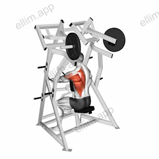 Lever One Arm Low Row (plate loaded) exercise targeting Back