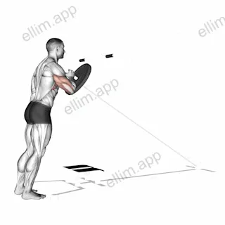 Lever One Arm Shoulder Press (plate loaded) exercise targeting Shoulders and Deltoid Anterior