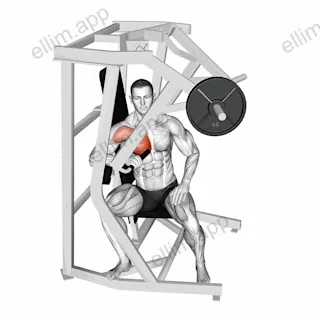 Lever One Arm Side Chest Press exercise targeting Chest