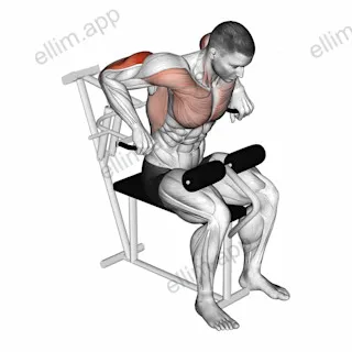 Lever Overhand Triceps Dip exercise targeting Upper Arms and Triceps Brachii