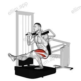 Lever Pistol Squat exercise targeting Thighs and Splenius