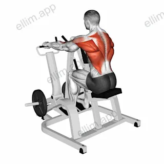 Lever Pronated Grip Seated Row (plate loaded) exercise targeting Back and Infraspinatus