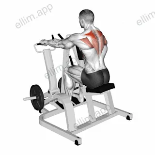 Lever Pronated Grip Seated Scapular Retraction Shrug (plate loaded) exercise targeting Back and Rhomboids
