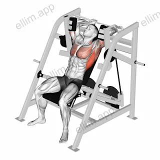 Lever Pullover (plate loaded) exercise targeting Back and Pectoralis Major Sternal Head