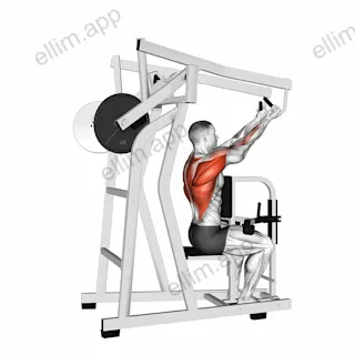 Lever Reverse Grip High Row (plate loaded) exercise targeting Back