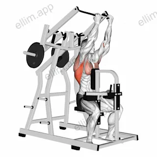 Lever Reverse grip Lateral Pulldown (plate loaded) exercise targeting Back and Latissimus Dorsi