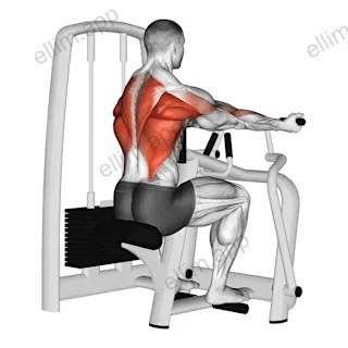 Lever Reverse Grip Vertical Row exercise targeting Back and Infraspinatus