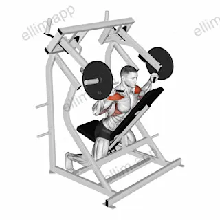 Lever Reverse Shoulder Press (plate loaded) exercise targeting Shoulders