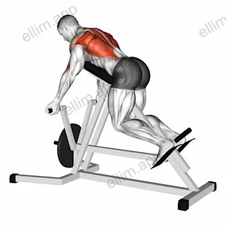 Lever Reverse T Bar Row exercise targeting Back