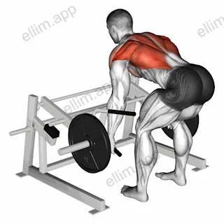Lever Row (plate loaded) exercise targeting Back and Infraspinatus
