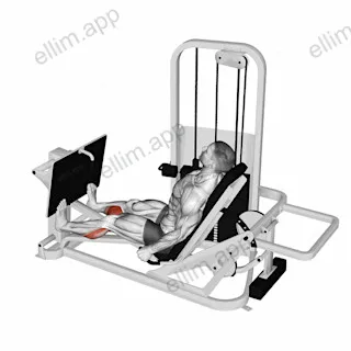 Lever Seated Calf Press exercise targeting Calves and Gastrocnemius