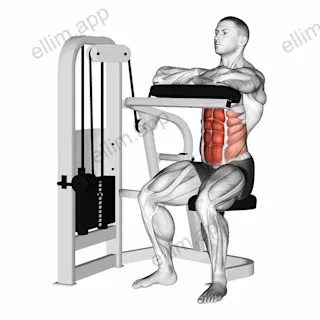 Lever Seated Crunch (hands pad) exercise targeting Waist and Rectus Abdominis