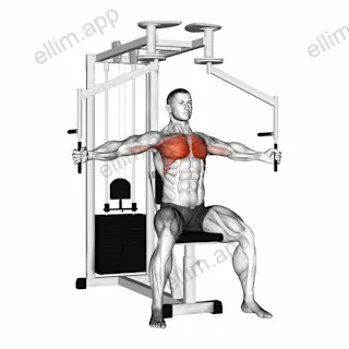 Lever Seated Fly exercise targeting Chest and Pectoralis Major Sternal Head
